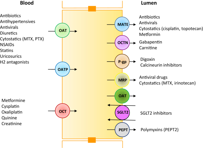 Figure 1