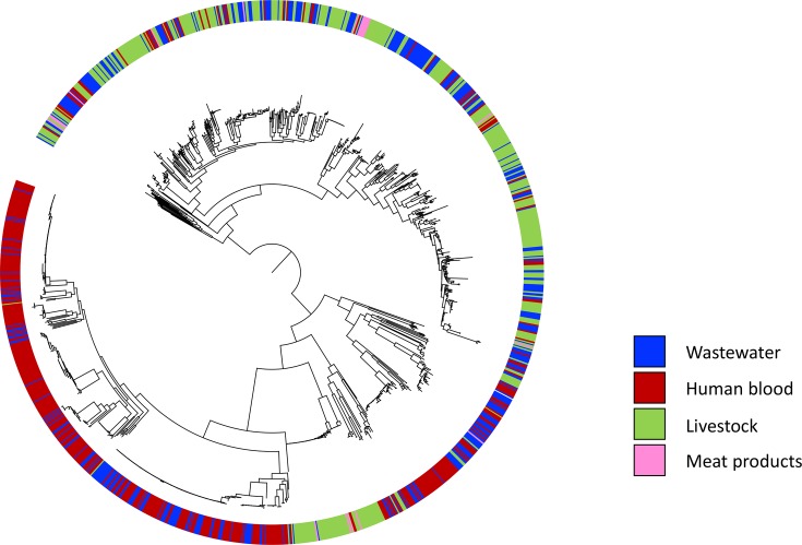 Fig. 4.