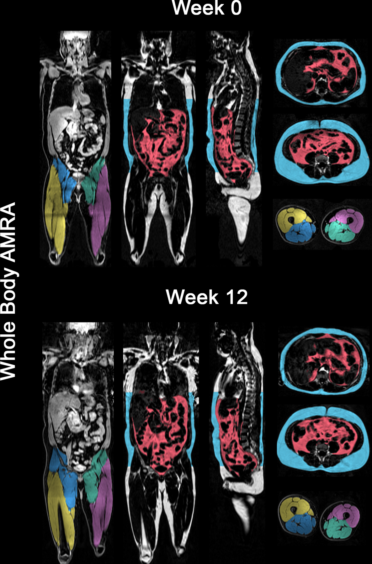 Figure 3: