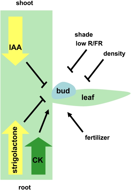 Figure 3.