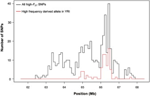 Figure 4