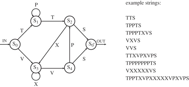 Figure 2.