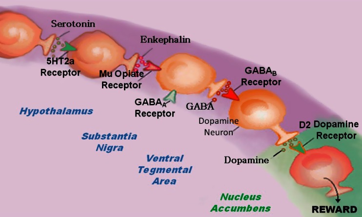 Fig. 1