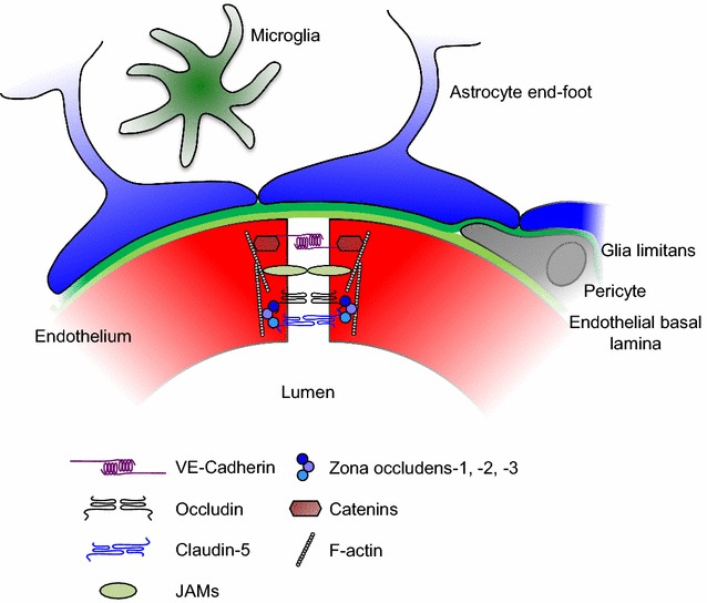 Fig. 1