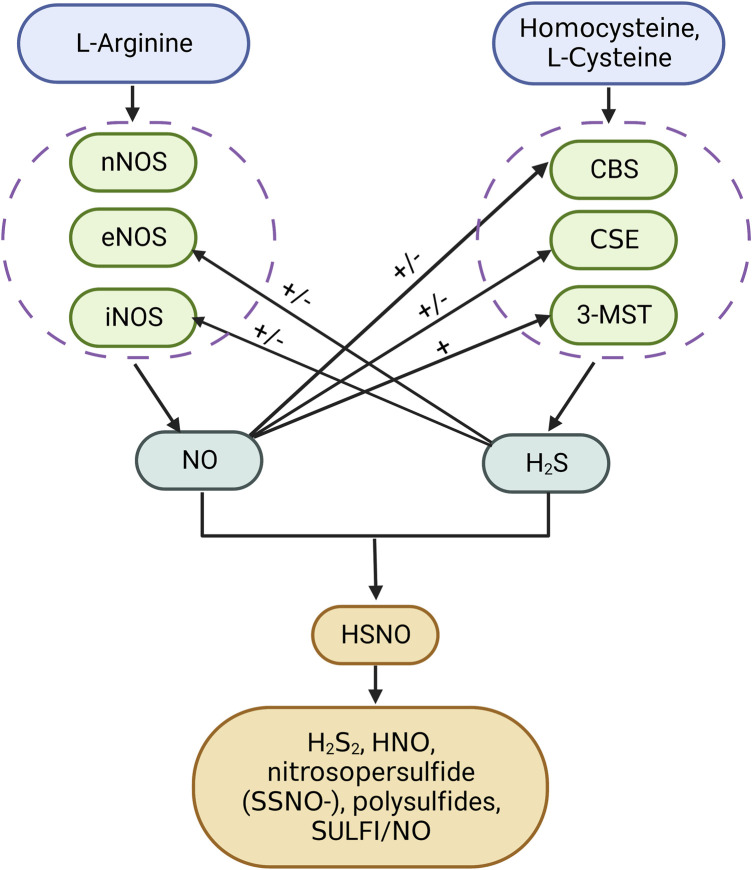 FIGURE 4