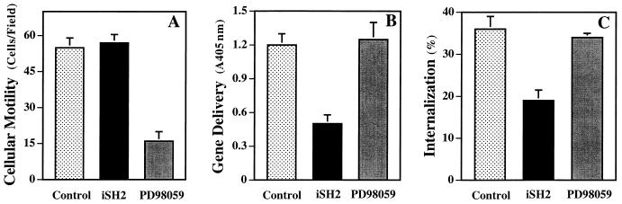 FIG. 7