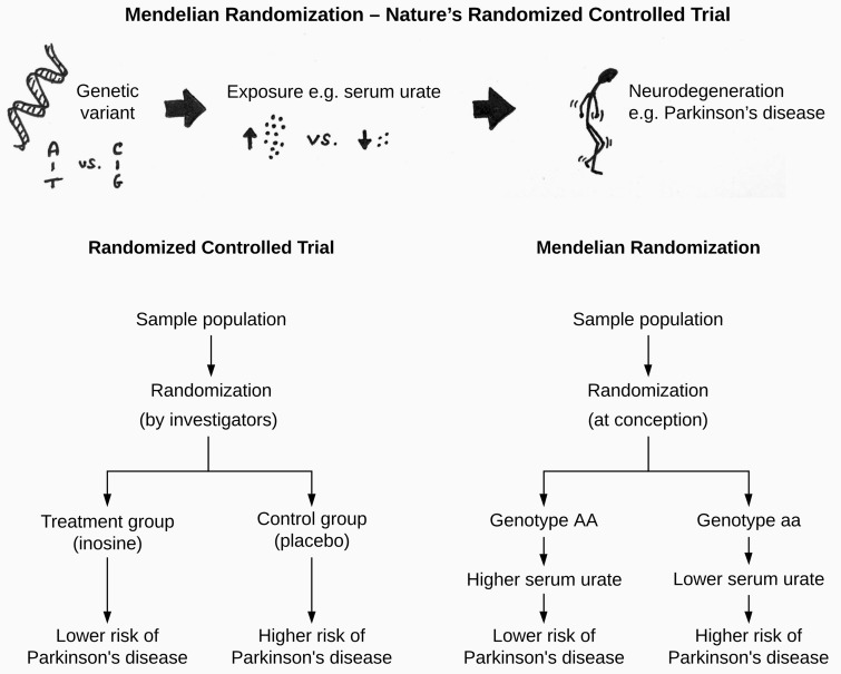 Graphical Abstract