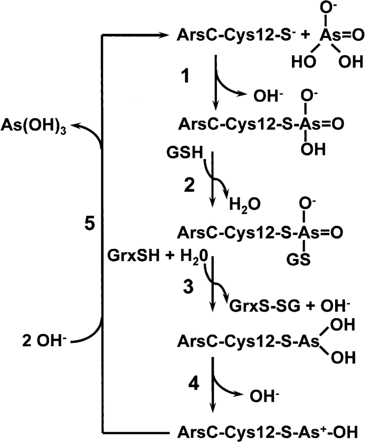 Figure 5.