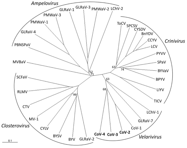 FIGURE 2