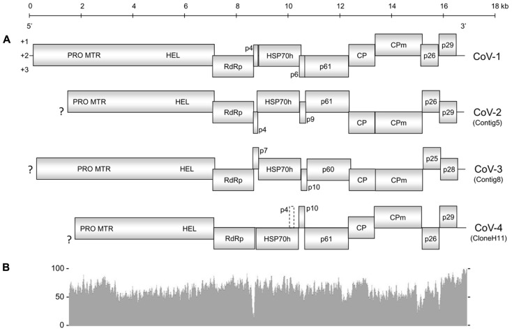 FIGURE 1