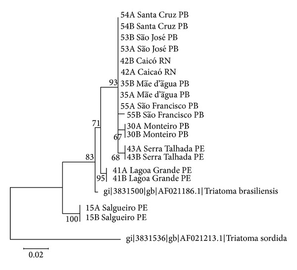 Figure 2