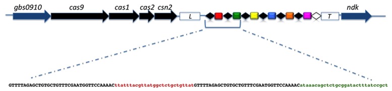 FIGURE 1