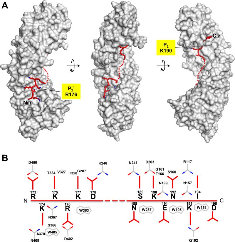 FIGURE 2