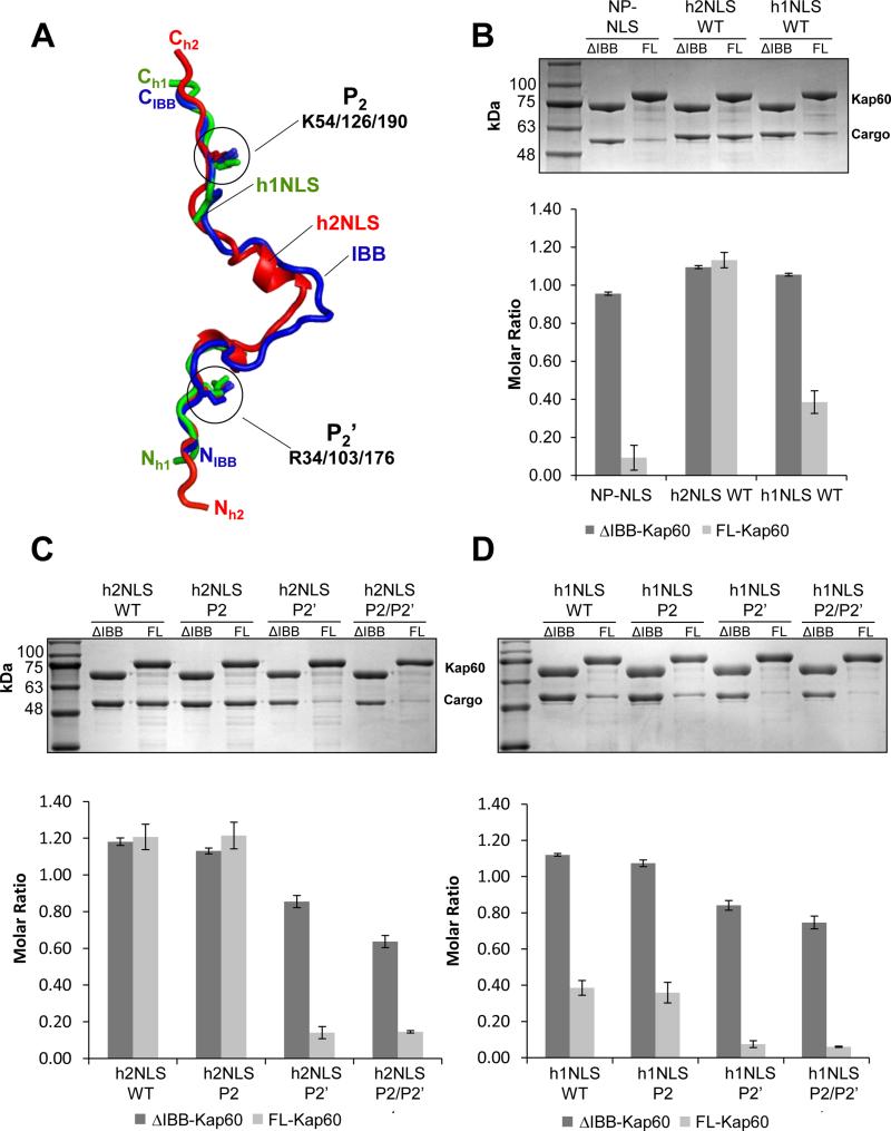 FIGURE 4