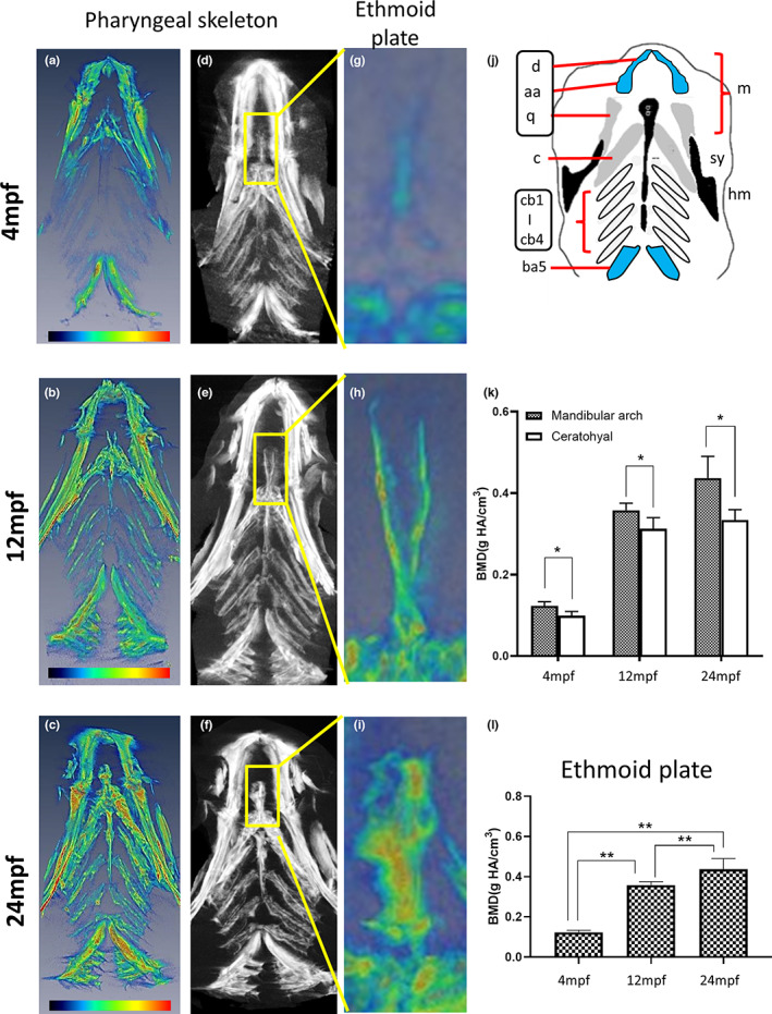 FIGURE 3