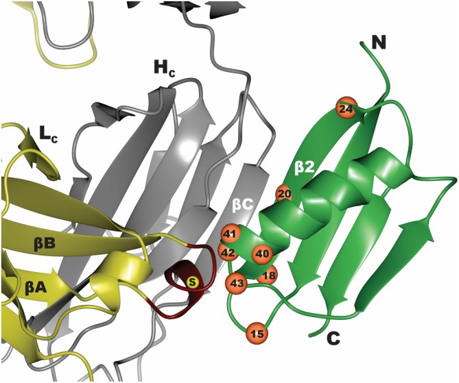 Figure 2