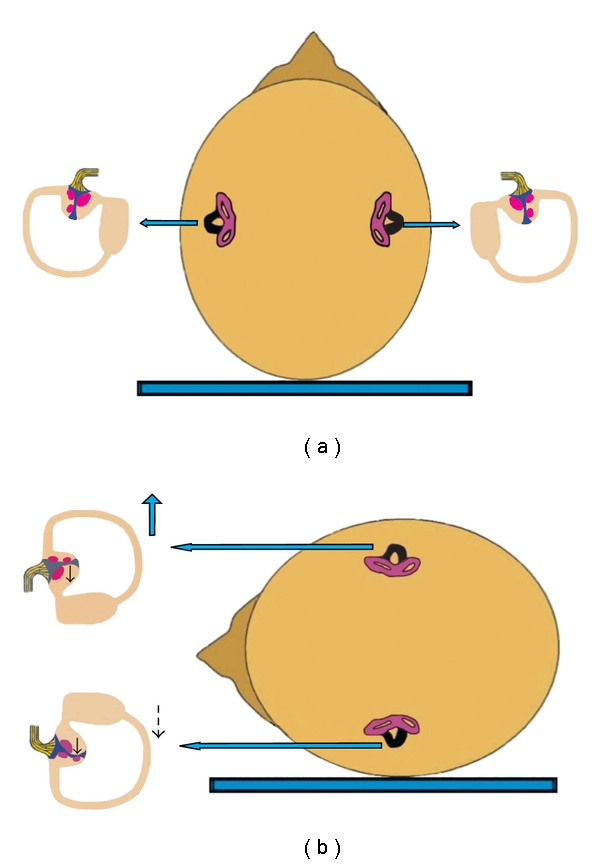 Figure 8