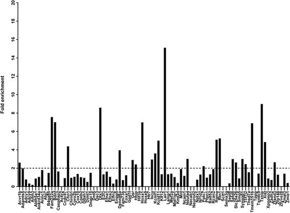 Fig. 5