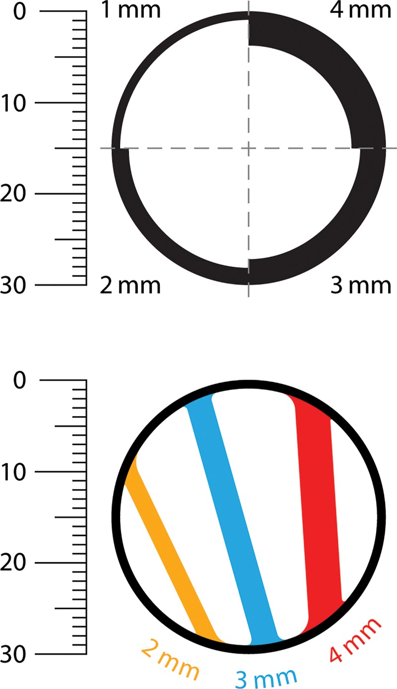 Figure 2: