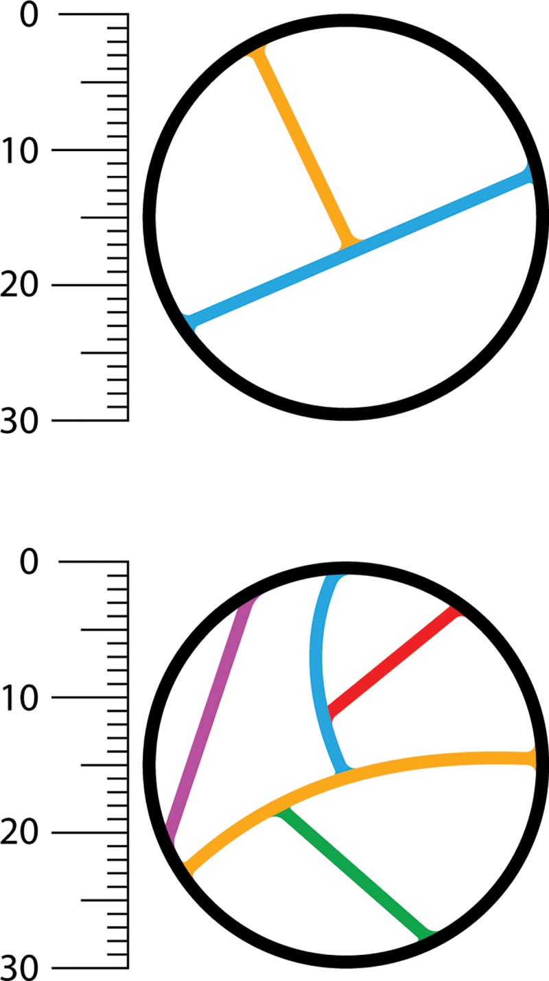 Figure 1: