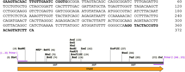 Fig. 10