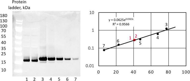 Fig. 12