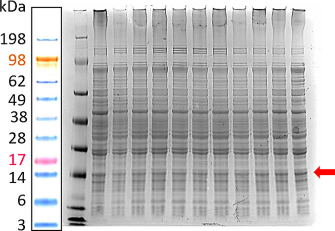 Fig. 6