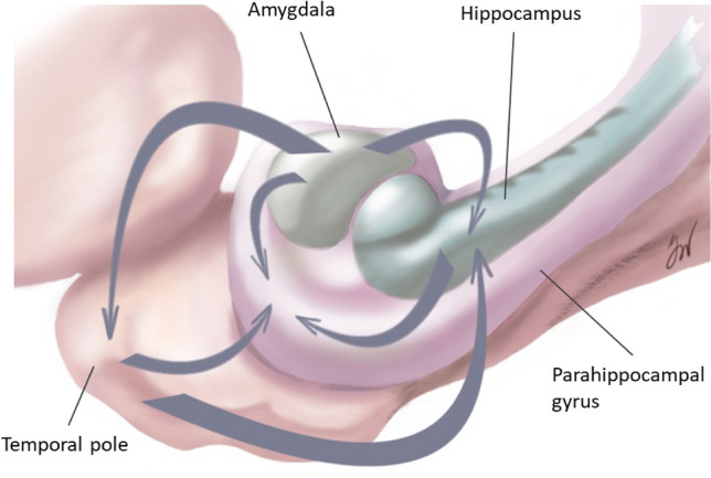 Fig. 6