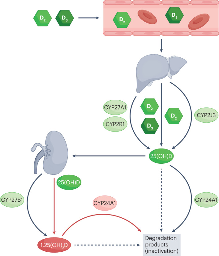 Fig. 3