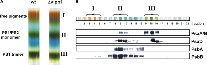 Figure 9.