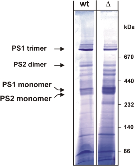 Figure 10.