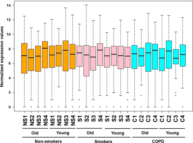 Figure 6