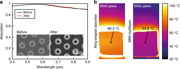 Fig. 6