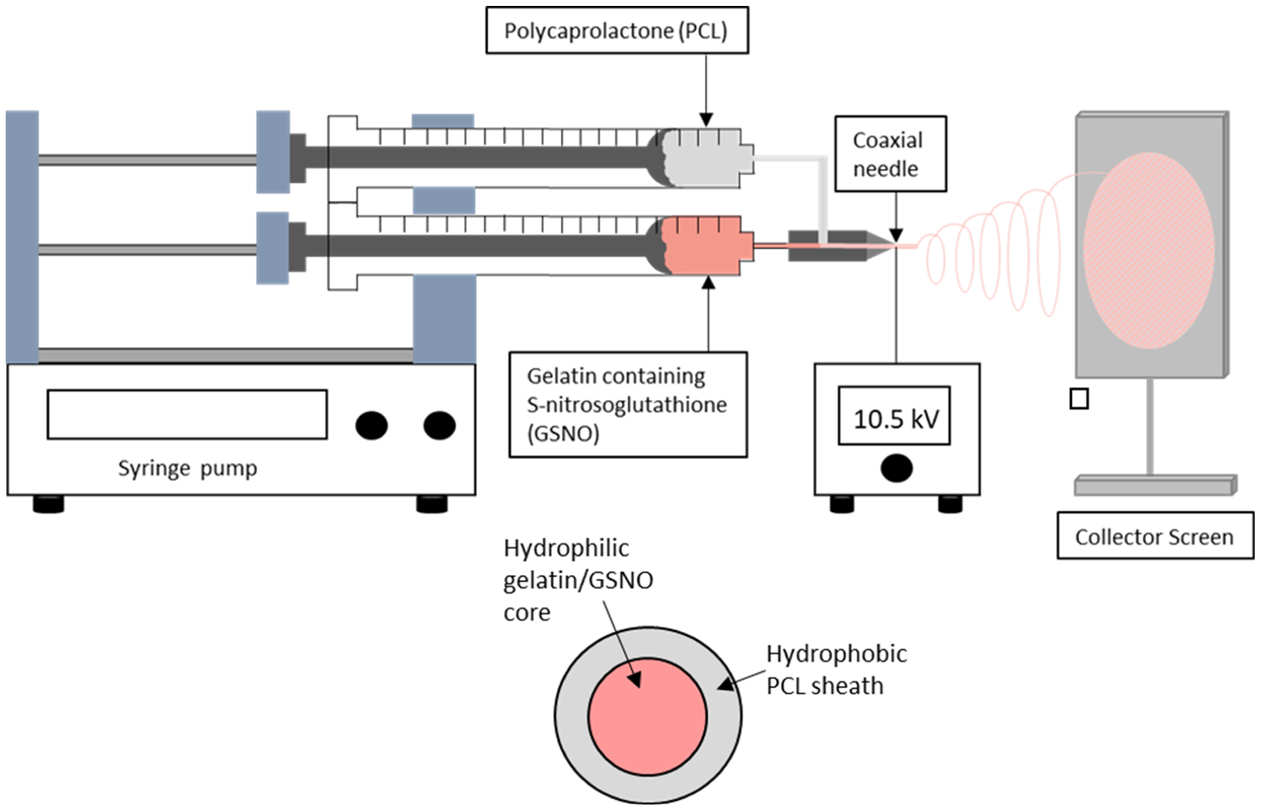 Figure 1.