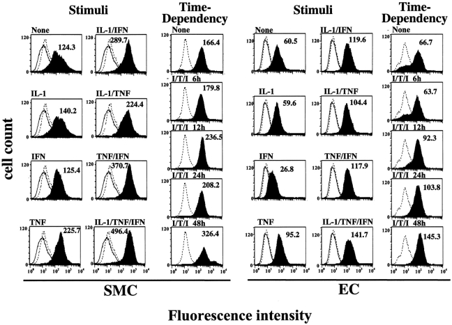 Figure 5.