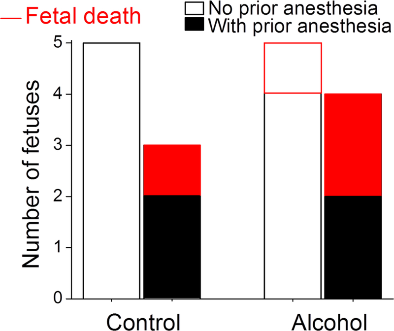 Figure 6: