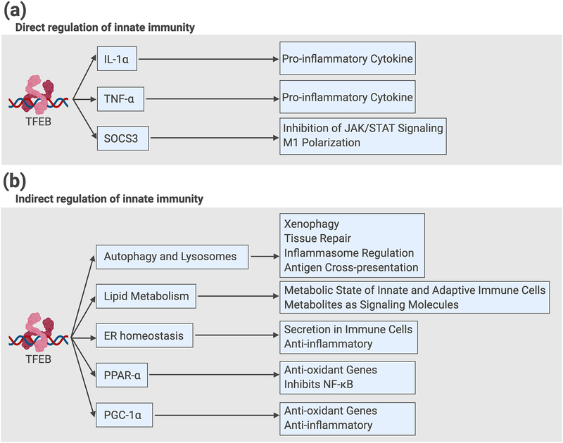 Key Figure, Figure 2.