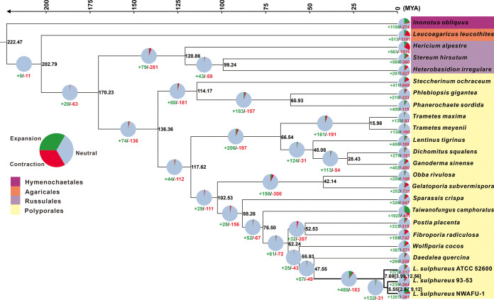 FIG 3