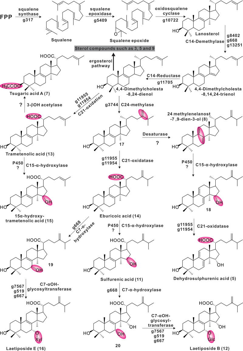 FIG 8