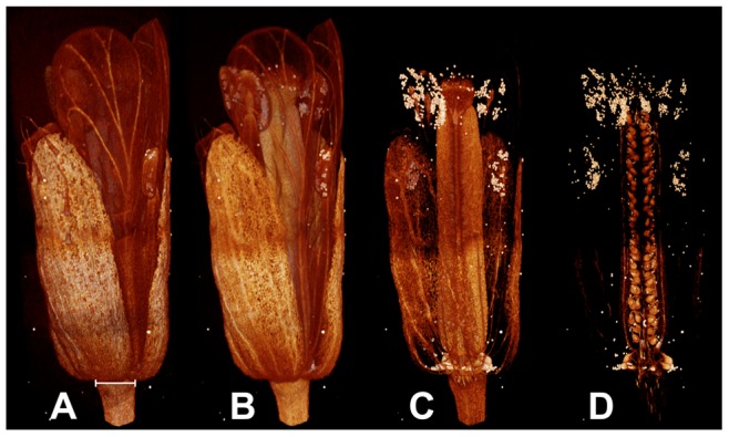 Figure 6