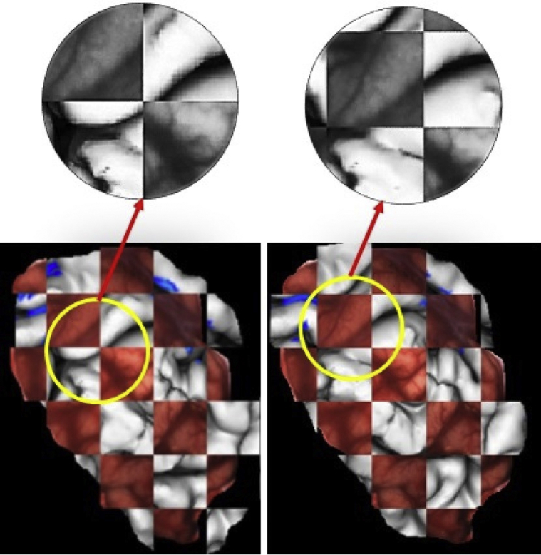 Figure 4