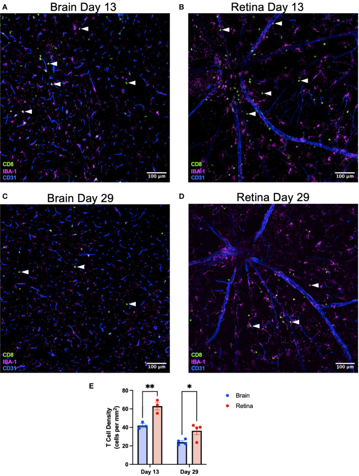 Figure 6