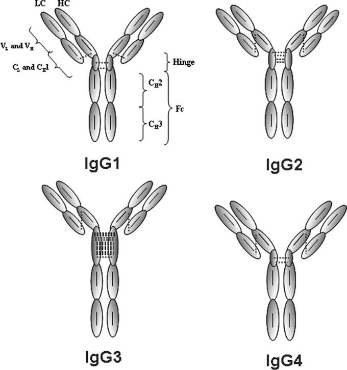 FIGURE 1.