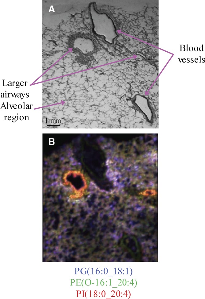 Fig. 4.