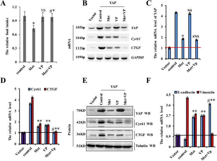 Supplementary Fig. 9