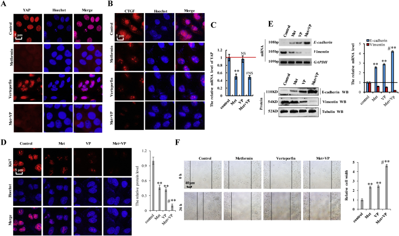 Supplementary Fig. 8