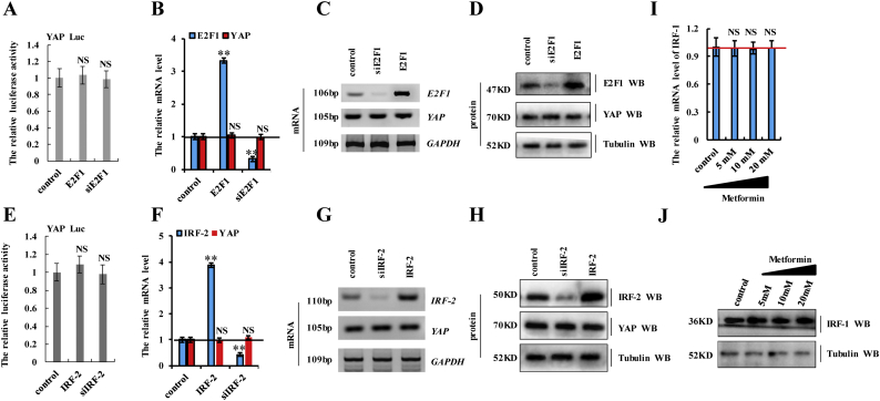 Supplementary Fig. 4