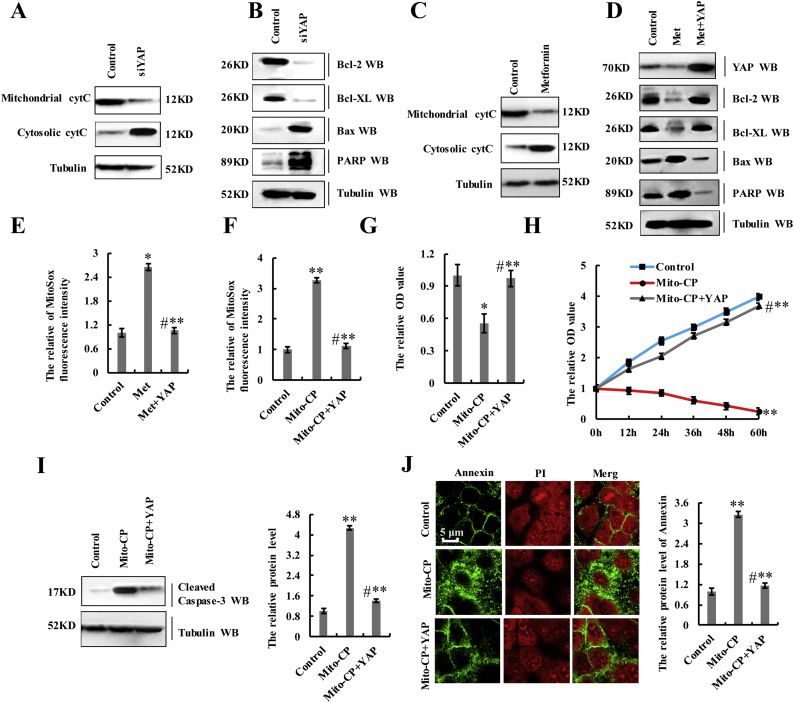 Supplementary Fig. 7