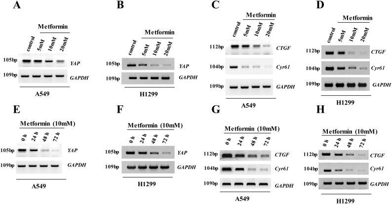 Supplementary Fig. 2