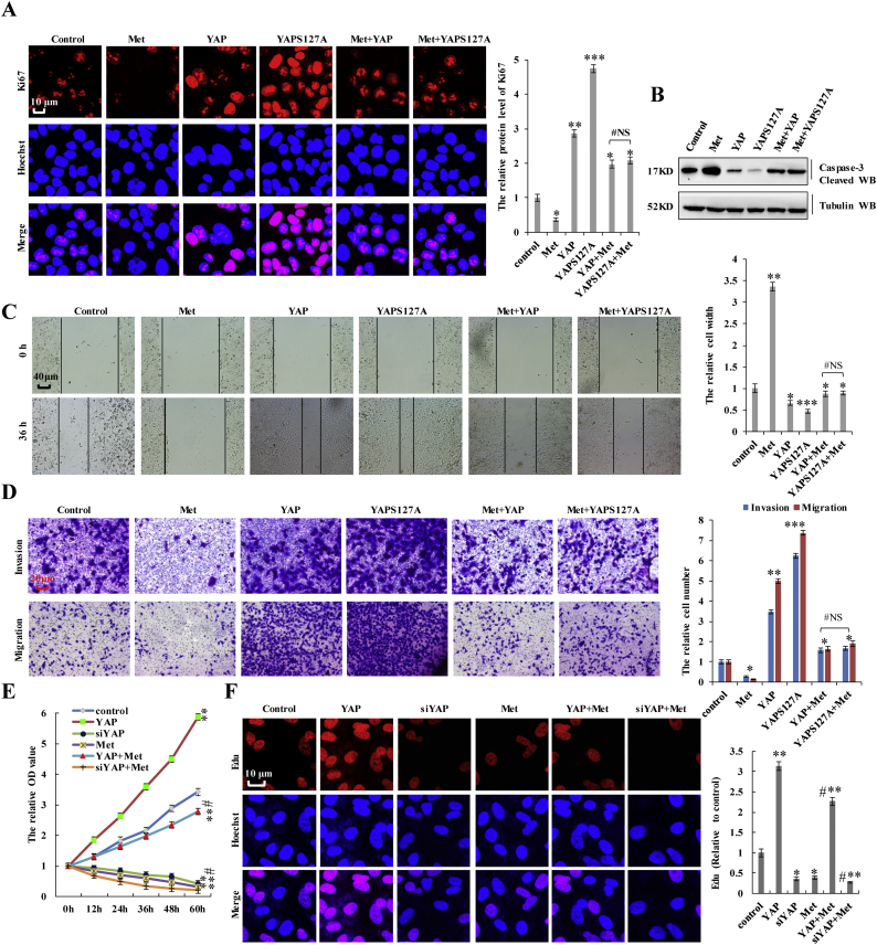 Supplementary Fig. 6